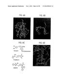 Compositions and Methods for Treating Obesity, Obesity Related Disorders     and for Inhibiting the Infectivity of Human Immunodeficiency Virus diagram and image