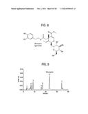 Compositions and Methods for Treating Obesity, Obesity Related Disorders     and for Inhibiting the Infectivity of Human Immunodeficiency Virus diagram and image