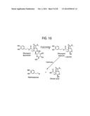 Compositions and Methods for Treating Obesity, Obesity Related Disorders     and for Inhibiting the Infectivity of Human Immunodeficiency Virus diagram and image