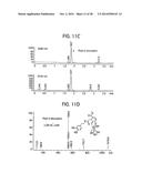 Compositions and Methods for Treating Obesity, Obesity Related Disorders     and for Inhibiting the Infectivity of Human Immunodeficiency Virus diagram and image