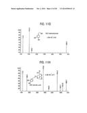 Compositions and Methods for Treating Obesity, Obesity Related Disorders     and for Inhibiting the Infectivity of Human Immunodeficiency Virus diagram and image