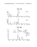 Compositions and Methods for Treating Obesity, Obesity Related Disorders     and for Inhibiting the Infectivity of Human Immunodeficiency Virus diagram and image