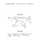 Compositions and Methods for Treating Obesity, Obesity Related Disorders     and for Inhibiting the Infectivity of Human Immunodeficiency Virus diagram and image