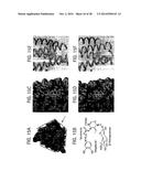 Compositions and Methods for Treating Obesity, Obesity Related Disorders     and for Inhibiting the Infectivity of Human Immunodeficiency Virus diagram and image