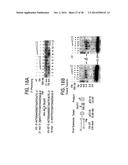 Compositions and Methods for Treating Obesity, Obesity Related Disorders     and for Inhibiting the Infectivity of Human Immunodeficiency Virus diagram and image