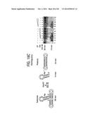 Compositions and Methods for Treating Obesity, Obesity Related Disorders     and for Inhibiting the Infectivity of Human Immunodeficiency Virus diagram and image