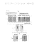 GLYCOSYLATION SITE-SPECIFIC ANTIBODIES AND ANTI-CANCER COMPOUNDS diagram and image