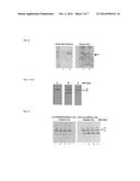 GLYCOSYLATION SITE-SPECIFIC ANTIBODIES AND ANTI-CANCER COMPOUNDS diagram and image