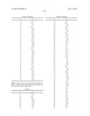 NOVEL COMPOUNDS THAT ARE ERK INHIBITORS diagram and image