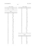 NOVEL COMPOUNDS THAT ARE ERK INHIBITORS diagram and image