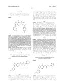 NOVEL COMPOUNDS THAT ARE ERK INHIBITORS diagram and image