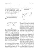 NOVEL COMPOUNDS THAT ARE ERK INHIBITORS diagram and image