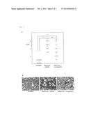 PLASMINOGEN ACTIVATOR INHIBITOR-1 INHIBITOR diagram and image