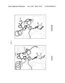 THERAPEUTIC METHODS AND COMPOSITIONS INVOLVING ALLOSTERIC KINASE     INHIBITION diagram and image