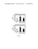 METHODS AND COMPOSITIONS ASSOCIATED WITH THE GRANULOCYTE     COLONY-STIMULATING FACTOR RECEPTOR diagram and image