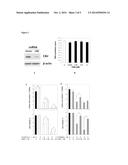 NOVEL CANNABINOID RECEPTOR 2 (CB2) INVERSE AGONISTS AND THERAPEUTIC     POTENTIAL FOR MULTIPLE MYELOMA AND OSTEOPOROSIS BONE DISEASES diagram and image