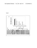 NOVEL CANNABINOID RECEPTOR 2 (CB2) INVERSE AGONISTS AND THERAPEUTIC     POTENTIAL FOR MULTIPLE MYELOMA AND OSTEOPOROSIS BONE DISEASES diagram and image