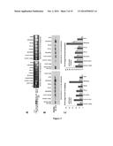 TRICYCLO-PHOSPHOROTHIOATE DNA diagram and image