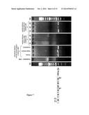 TRICYCLO-PHOSPHOROTHIOATE DNA diagram and image