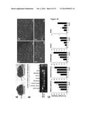 TRICYCLO-PHOSPHOROTHIOATE DNA diagram and image