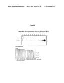 Modified Human Plasma Polypeptide or Fc Scaffolds and Their Uses diagram and image