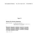 Modified Human Plasma Polypeptide or Fc Scaffolds and Their Uses diagram and image