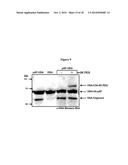 Modified Human Plasma Polypeptide or Fc Scaffolds and Their Uses diagram and image