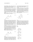 Modified Human Plasma Polypeptide or Fc Scaffolds and Their Uses diagram and image