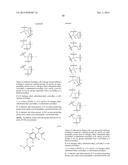 Modified Human Plasma Polypeptide or Fc Scaffolds and Their Uses diagram and image