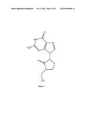 HEPATITIS B VIRAL VARIANTS WITH REDUCED SUSCEPTIBILITY TO NUCLEOSIDE     ANALOGS AND USES THEREOF diagram and image