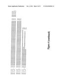 HEPATITIS B VIRAL VARIANTS WITH REDUCED SUSCEPTIBILITY TO NUCLEOSIDE     ANALOGS AND USES THEREOF diagram and image