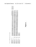 HEPATITIS B VIRAL VARIANTS WITH REDUCED SUSCEPTIBILITY TO NUCLEOSIDE     ANALOGS AND USES THEREOF diagram and image