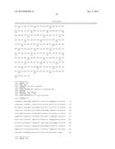 HEPATITIS B VIRAL VARIANTS WITH REDUCED SUSCEPTIBILITY TO NUCLEOSIDE     ANALOGS AND USES THEREOF diagram and image