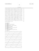 HEPATITIS B VIRAL VARIANTS WITH REDUCED SUSCEPTIBILITY TO NUCLEOSIDE     ANALOGS AND USES THEREOF diagram and image