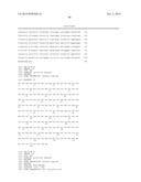 HEPATITIS B VIRAL VARIANTS WITH REDUCED SUSCEPTIBILITY TO NUCLEOSIDE     ANALOGS AND USES THEREOF diagram and image