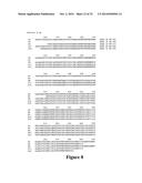 HEPATITIS B VIRAL VARIANTS WITH REDUCED SUSCEPTIBILITY TO NUCLEOSIDE     ANALOGS AND USES THEREOF diagram and image