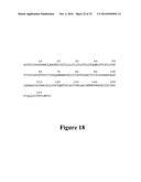 HEPATITIS B VIRAL VARIANTS WITH REDUCED SUSCEPTIBILITY TO NUCLEOSIDE     ANALOGS AND USES THEREOF diagram and image