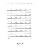 HEPATITIS B VIRAL VARIANTS WITH REDUCED SUSCEPTIBILITY TO NUCLEOSIDE     ANALOGS AND USES THEREOF diagram and image