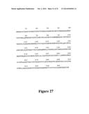 HEPATITIS B VIRAL VARIANTS WITH REDUCED SUSCEPTIBILITY TO NUCLEOSIDE     ANALOGS AND USES THEREOF diagram and image