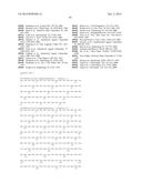 HEPATITIS B VIRAL VARIANTS WITH REDUCED SUSCEPTIBILITY TO NUCLEOSIDE     ANALOGS AND USES THEREOF diagram and image