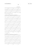 HEPATITIS B VIRAL VARIANTS WITH REDUCED SUSCEPTIBILITY TO NUCLEOSIDE     ANALOGS AND USES THEREOF diagram and image