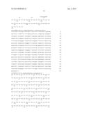 HEPATITIS B VIRAL VARIANTS WITH REDUCED SUSCEPTIBILITY TO NUCLEOSIDE     ANALOGS AND USES THEREOF diagram and image