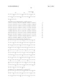 HEPATITIS B VIRAL VARIANTS WITH REDUCED SUSCEPTIBILITY TO NUCLEOSIDE     ANALOGS AND USES THEREOF diagram and image