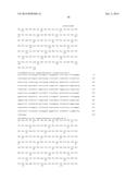 HEPATITIS B VIRAL VARIANTS WITH REDUCED SUSCEPTIBILITY TO NUCLEOSIDE     ANALOGS AND USES THEREOF diagram and image