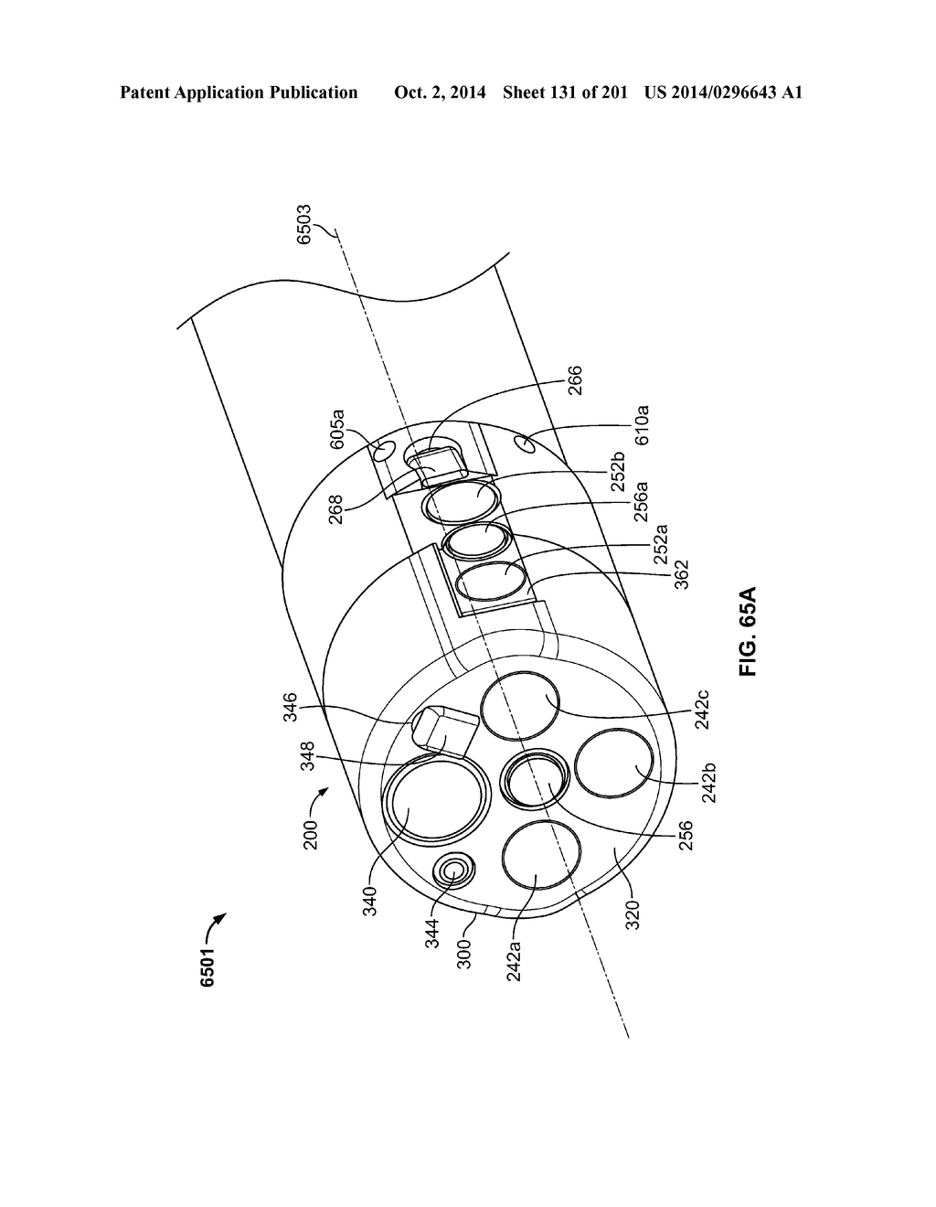 Image Capture Assembly for Use in a Multi-Viewing Elements Endoscope - diagram, schematic, and image 133