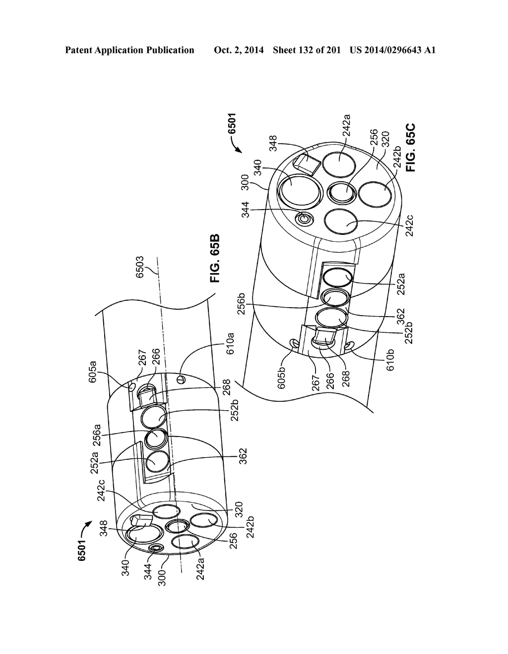 Image Capture Assembly for Use in a Multi-Viewing Elements Endoscope - diagram, schematic, and image 134