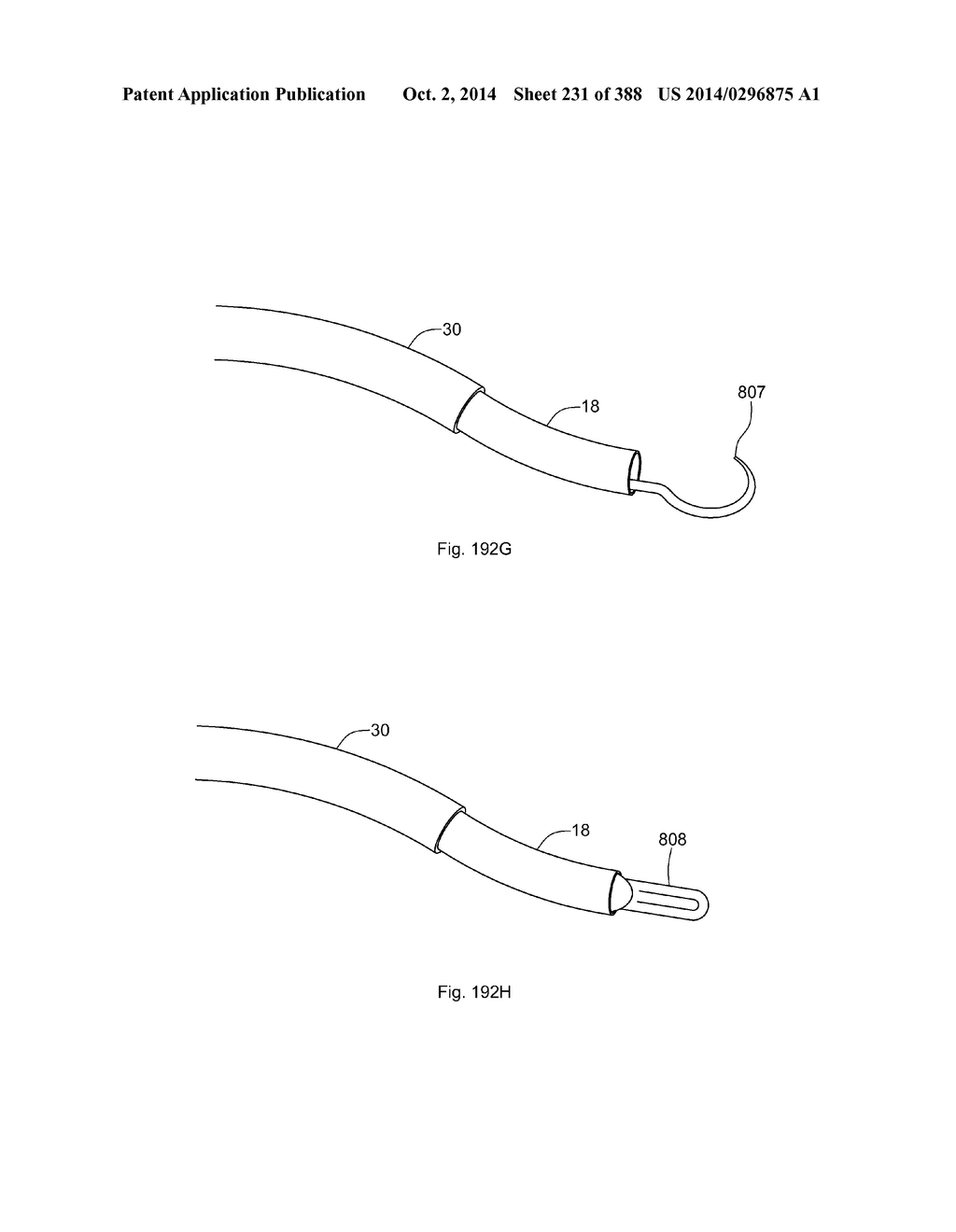 ROBOTIC CATHETER SYSTEM AND METHODS - diagram, schematic, and image 232