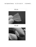 MEMBRANE-TYPE ARTIFICIAL SCAFFOLD AND METHOD FOR FABRICATING SAME diagram and image