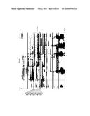 INFORMATION PROCESSING APPARATUS, INFORMATION PROCESSING METHOD, AND     PROGRAM diagram and image