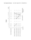 INFORMATION PROCESSING APPARATUS, INFORMATION PROCESSING METHOD, AND     PROGRAM diagram and image